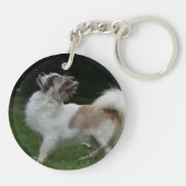 Langhaarige Chihuahua, die Kamera betrachten Schlüsselanhänger (Rückseite)