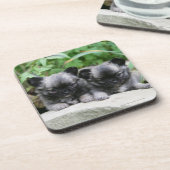 Langhaarige Chihuahua-Welpen Getränkeuntersetzer (Linke Seite)