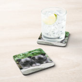 Langhaarige Chihuahua-Welpen Getränkeuntersetzer (Rechte Seite)