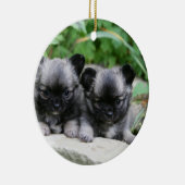 Langhaarige Chihuahua-Welpen Keramikornament (Rechts)