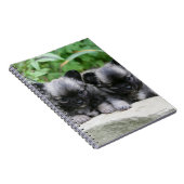 Langhaarige Chihuahua-Welpen Notizblock (Rechte Seite)