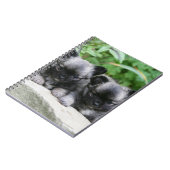 Langhaarige Chihuahua-Welpen Notizblock (Linke Seite)