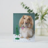 Langhaarige Dackel auf einem Korbtisch Postkarte (Stehend Vorderseite)