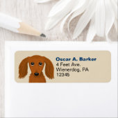 Langhaarige Dackel | Dackel Hunde Rücksendeadresse (Insitu)