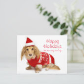Langhaarige Dackel, die ein rotes Weihnachten (Stehend Vorderseite)