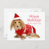 Langhaarige Dackel, die ein rotes Weihnachten (Vorne/Hinten)