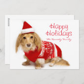 Langhaarige Dackel, die ein rotes Weihnachten (Vorne/Hinten)