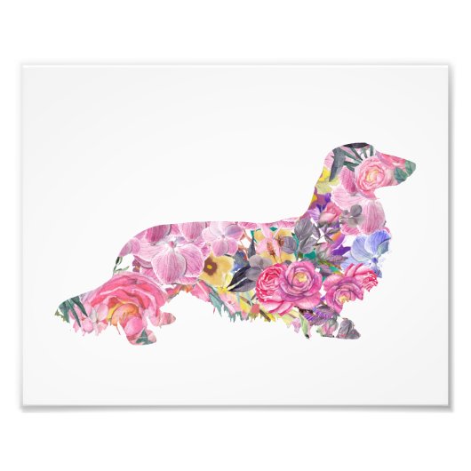Langhaarige Dackel Fotodruck (Vorne)