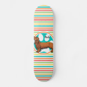 Langhaarige Dackel; Helle Regenbogenstreifen Skateboard (Vorderseite)
