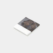 Langhaarige Dackel Post it Notes Post-it Klebezettel (angewinkelt)