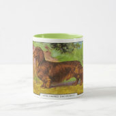 Langhaarige Dackel Tasse (Zentrum)