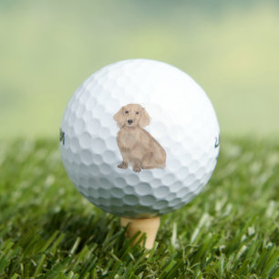 Langhaarige Englische Rote Dackel Golfball