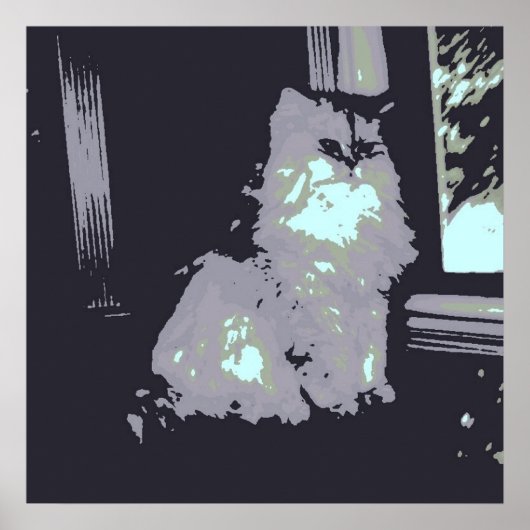 Langhaarige graue Kitty Cat Poster (Vorne)