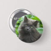 Langhaarige graue Russische blaue Katze Button (Vorne & Hinten)