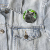 Langhaarige graue Russische blaue Katze Button (Beispiel)