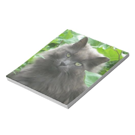 Langhaarige graue Russische blaue Katze Notizblock (Rotiert)
