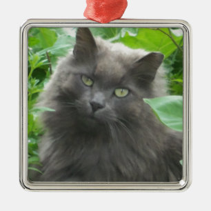Langhaarige graue Russische Blaukatze Ornament Aus Metall
