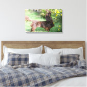 Langhaarige Miniatur Dackel 1 Leinwanddruck (Insitu (Schlafzimmer))