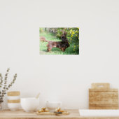 Langhaarige Miniatur Dackel 1 Poster (Küche)
