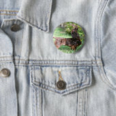 Langhaarige MiniaturDackel 1 Button (Beispiel)