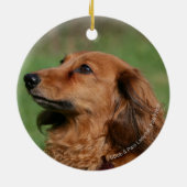 Langhaarige MiniaturDackel 2 Keramikornament (Hinten)