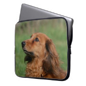 Langhaarige MiniaturDackel 2 Laptopschutzhülle (Vorderseite Links)