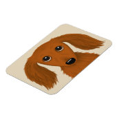 Langhaarige rote Dackel | NIEDLICHE DACKEL Magnet (Linke Seite)