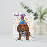 Langhaarige rote Dackel