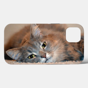 Langhaarige Russische Blaue Katze von Shirley Tayl Case-Mate iPhone Hülle