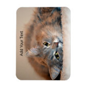 Langhaarige Russische Blaue Katze von Shirley Tayl Magnet (Vertikal)