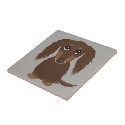 Langhaarige Schokolade Braune Dackel Fliese (Seite)