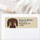 Langhaarige Schokolade-Dackel Rücksendeadresse (Insitu)