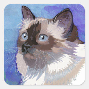 Langhaarige Siamische Himalayakkatze Quadratischer Aufkleber