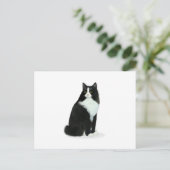 Langhaarige Tuxedo Cat Postkarte (Stehend Vorderseite)