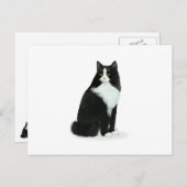 Langhaarige Tuxedo Cat Postkarte (Vorne/Hinten)