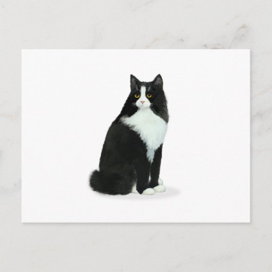 Langhaarige Tuxedo Cat Postkarte (Vorderseite)