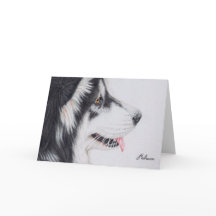 Langhaariger alaskischer Malamute