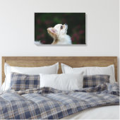 Langhaariger Chihuahua-Headshot 2 Leinwanddruck (Insitu (Schlafzimmer))