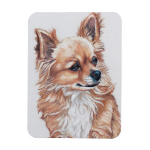 Langhaariger Chihuahua-Hundekunst-Magnet Magnet