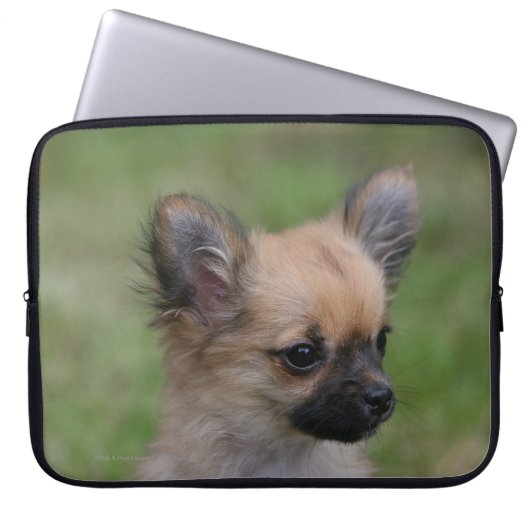 Langhaariger Chihuahua-Welpe, der Kamera Laptopschutzhülle (Vorderseite)