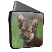 Langhaariger Chihuahua-Welpe, der Kamera Laptopschutzhülle (Vorne Rechts)