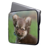 Langhaariger Chihuahua-Welpe, der Kamera Laptopschutzhülle (Vorderseite Links)