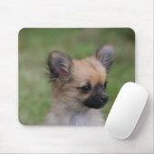 Langhaariger Chihuahua-Welpe, der Kamera Mousepad (Mit Mouse)