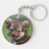 Langhaariger Chihuahua-Welpe, der Kamera Schlüsselanhänger (Rückseite)