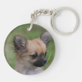 Langhaariger Chihuahua-Welpe, der Kamera Schlüsselanhänger (Rückseite)