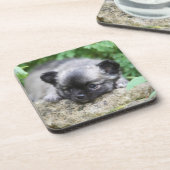 Langhaariger Chihuahua-Welpe Getränkeuntersetzer (Linke Seite)