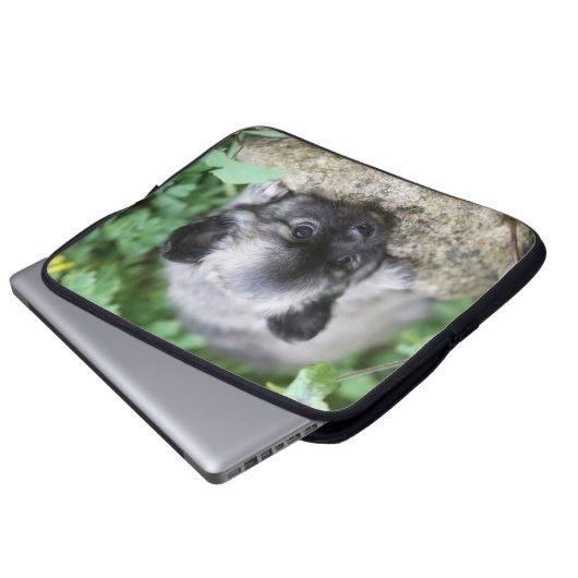 Langhaariger Chihuahua-Welpe Laptopschutzhülle (Vorne Knopf)