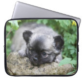 Langhaariger Chihuahua-Welpe Laptopschutzhülle (Vorderseite)