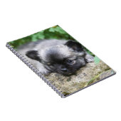 Langhaariger Chihuahua-Welpe Notizblock (Rechte Seite)