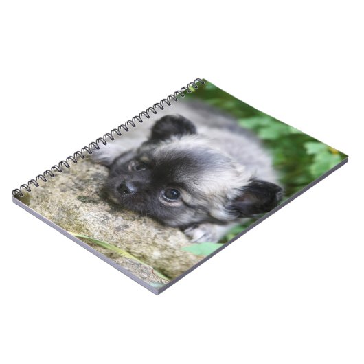 Langhaariger Chihuahua-Welpe Notizblock (Linke Seite)